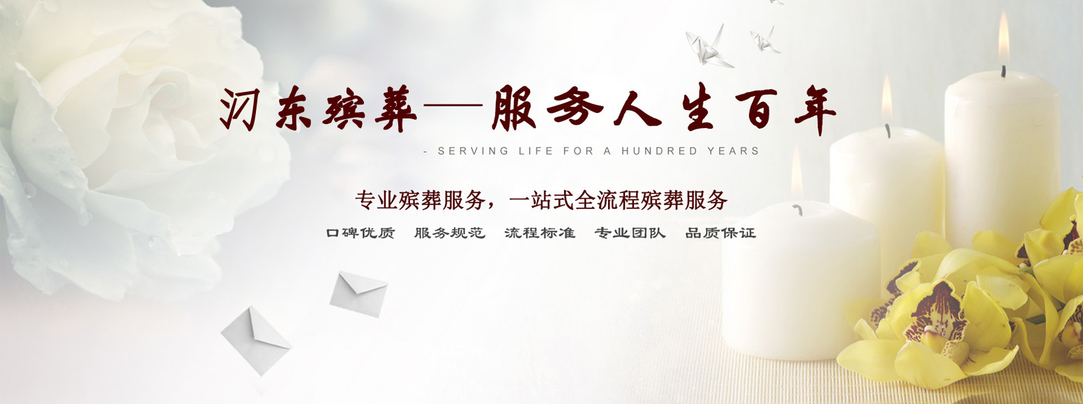 子页大图
