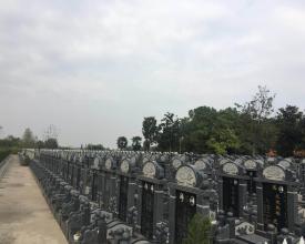 环境展示
